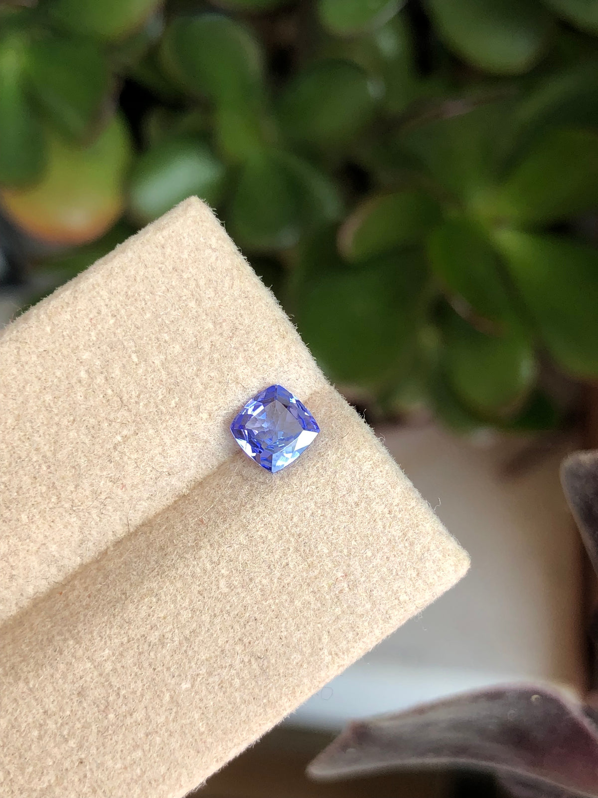 Tanzanite 0.52 Ct