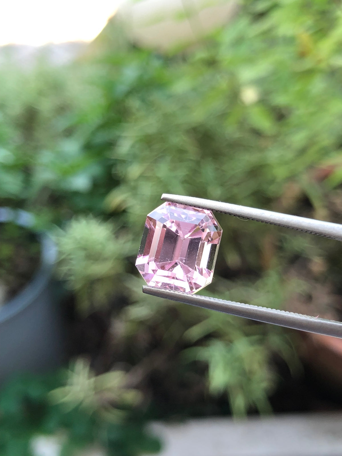 Kunzite Afghanistan 7.51 ct