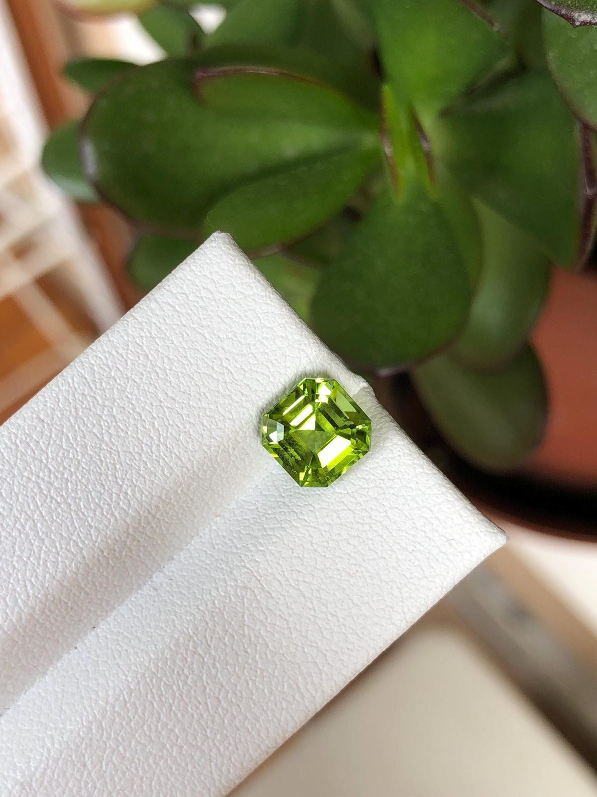 Natural Peridot 2.34 ct | Green, Pakistan