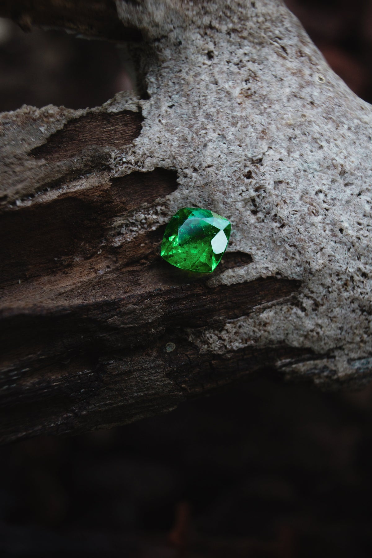 Verde