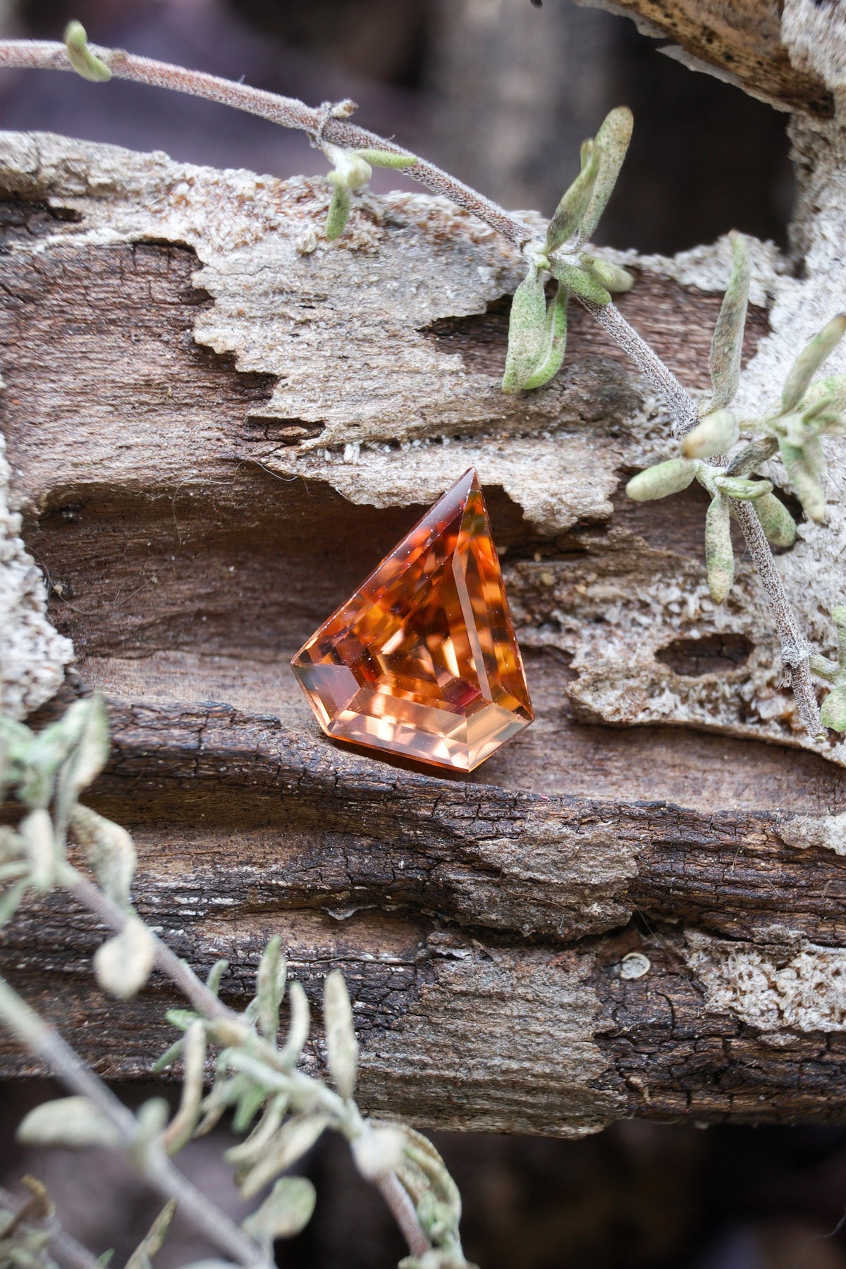 Arancione / Marrone