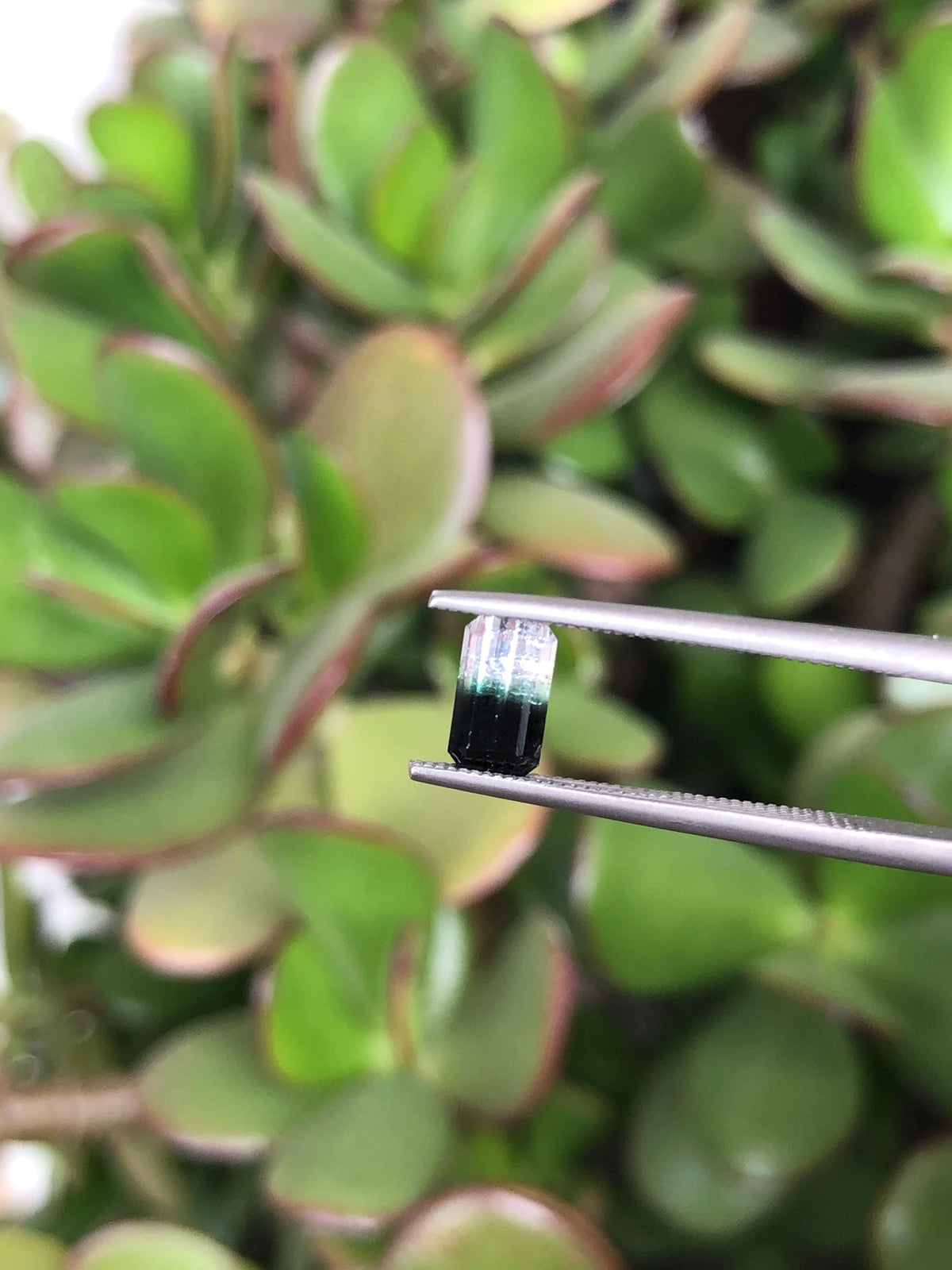 Natural Bicolor Black/White Tourmaline 0.81 ct