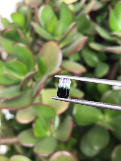 Natural Bicolor Black/White Tourmaline 0.81 ct