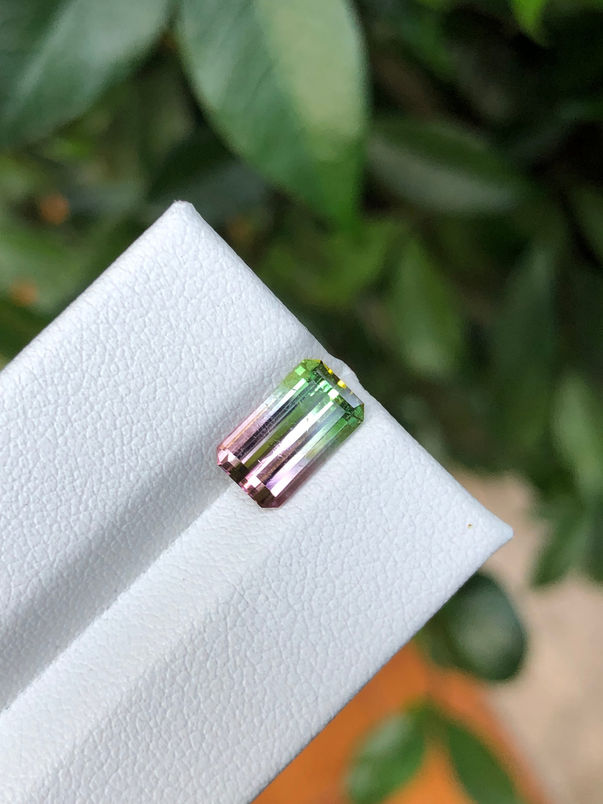 Tormalina Watermelon 2.10 Ct Afghanistan