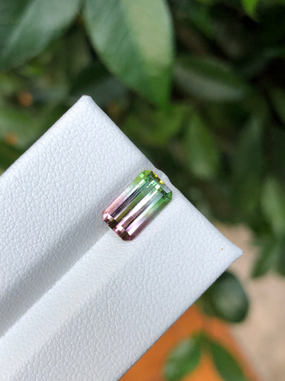 Tormalina Watermelon 2.10 Ct Afghanistan