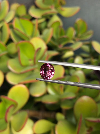 Natural Pink Malaya Garnet 2.36 ct, Tanzania