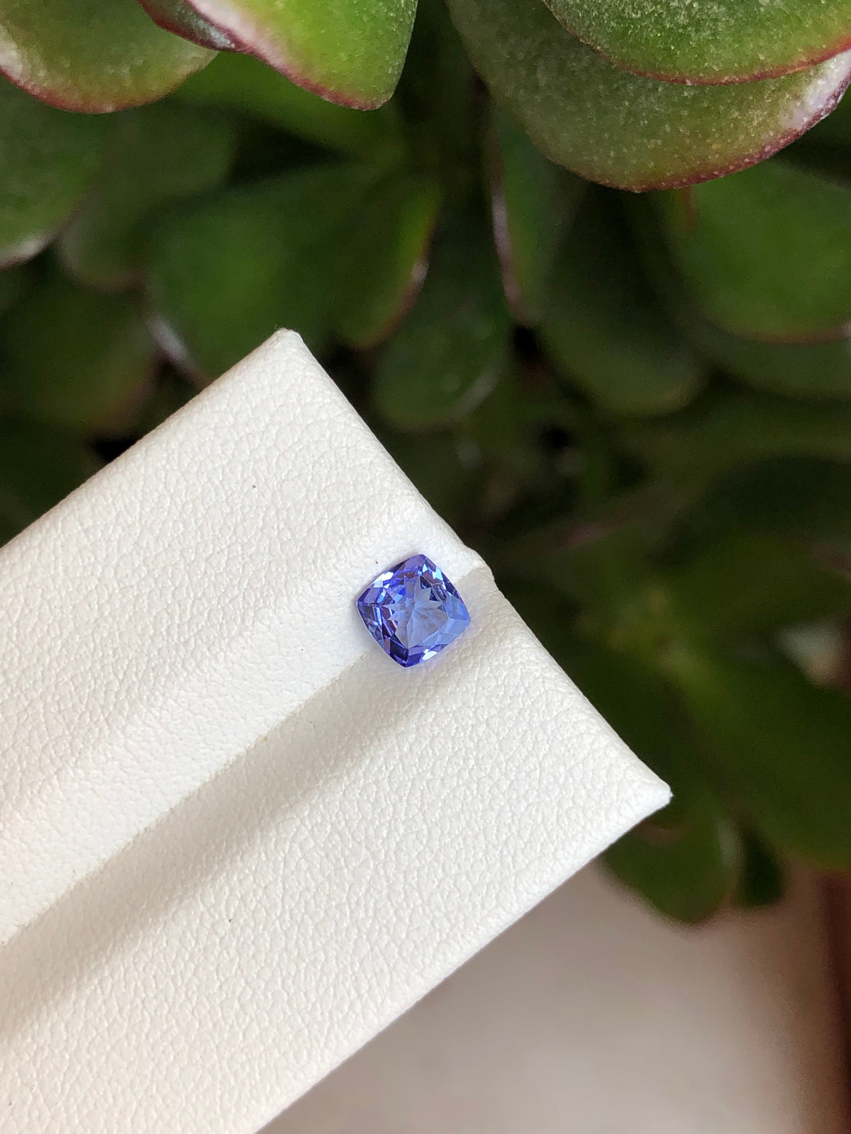 Tanzanite 0.52 Ct