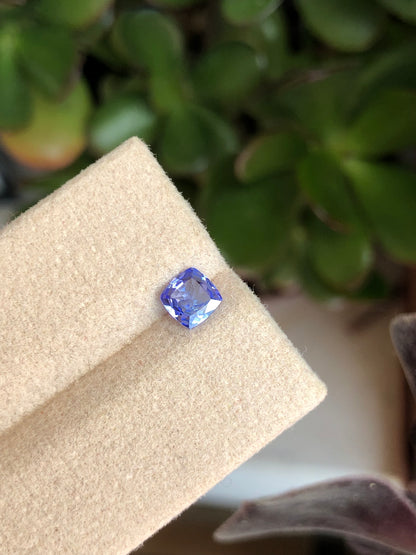 Tanzanite 0.52 Ct