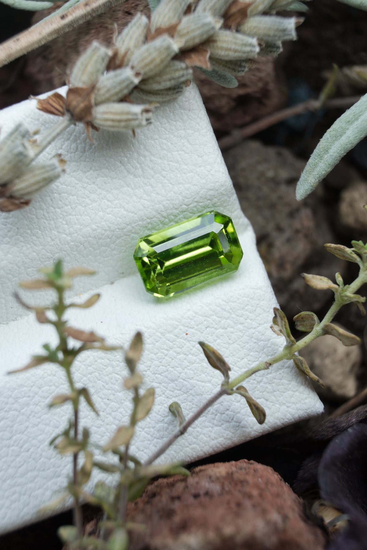 Peridoto Pakistan 1.90 Ct