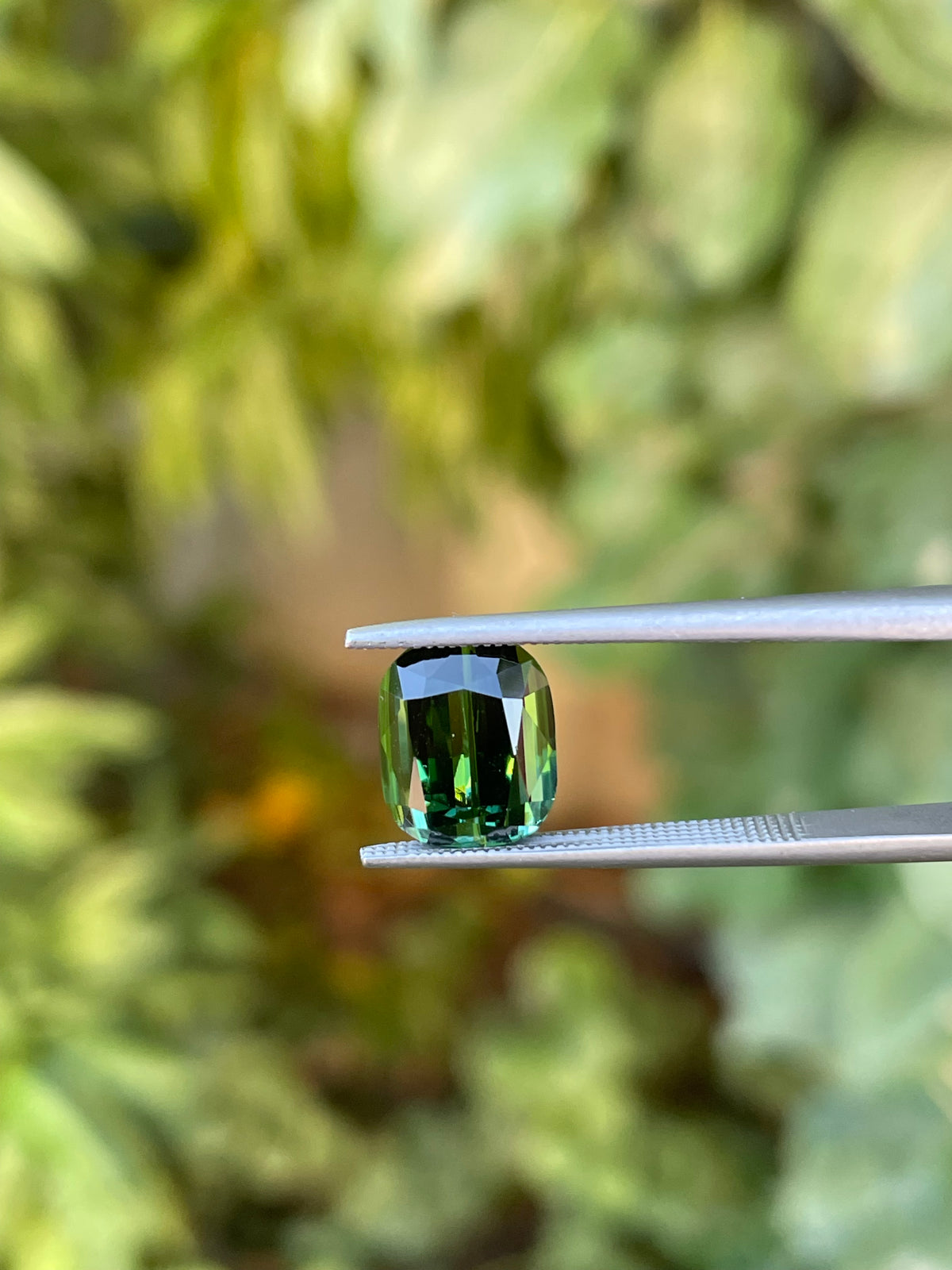 Tormalina 4.39 Ct