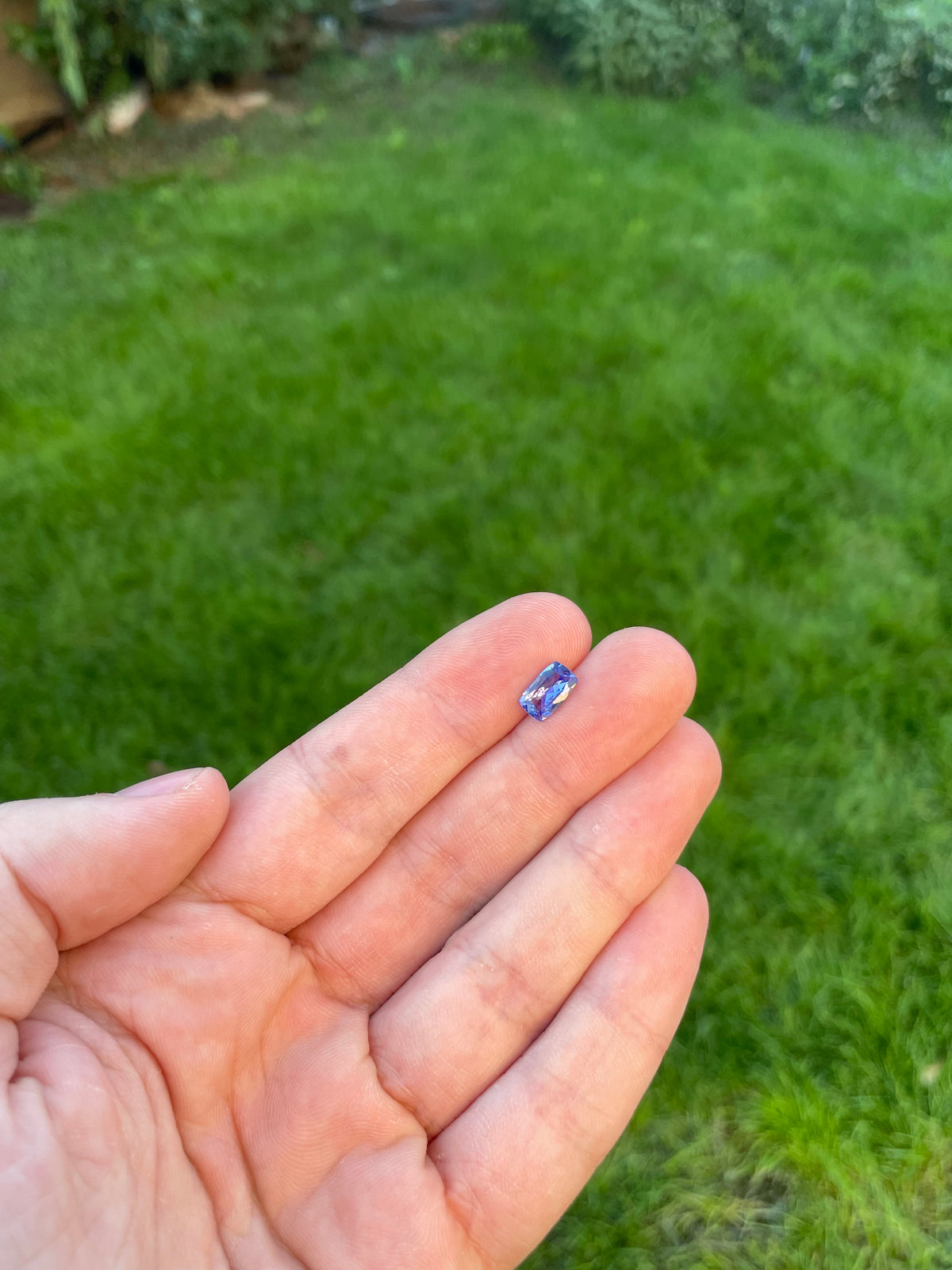 Tanzanite 1.44 Ct