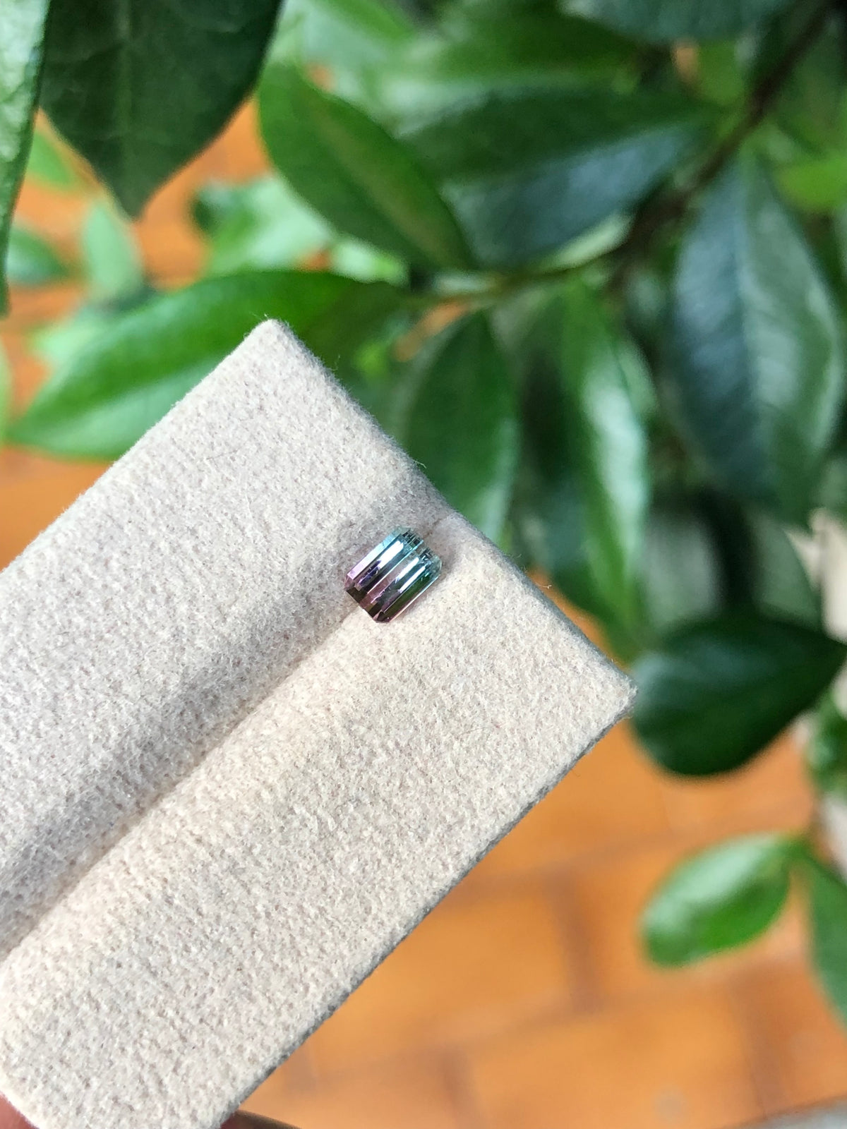 Tormalina Bicolore Afghanistan 0.68 Ct.