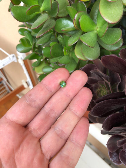 Natural green/blue Tourmaline 1.12 ct,