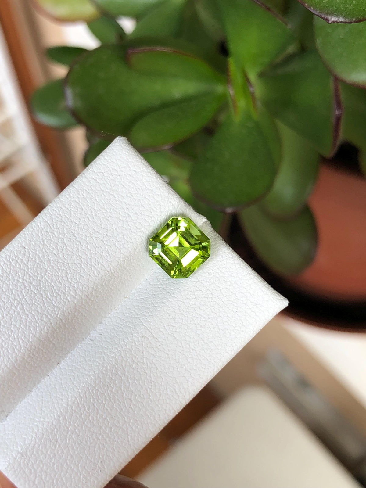 Natural Peridot 2.34 ct | Green, Pakistan