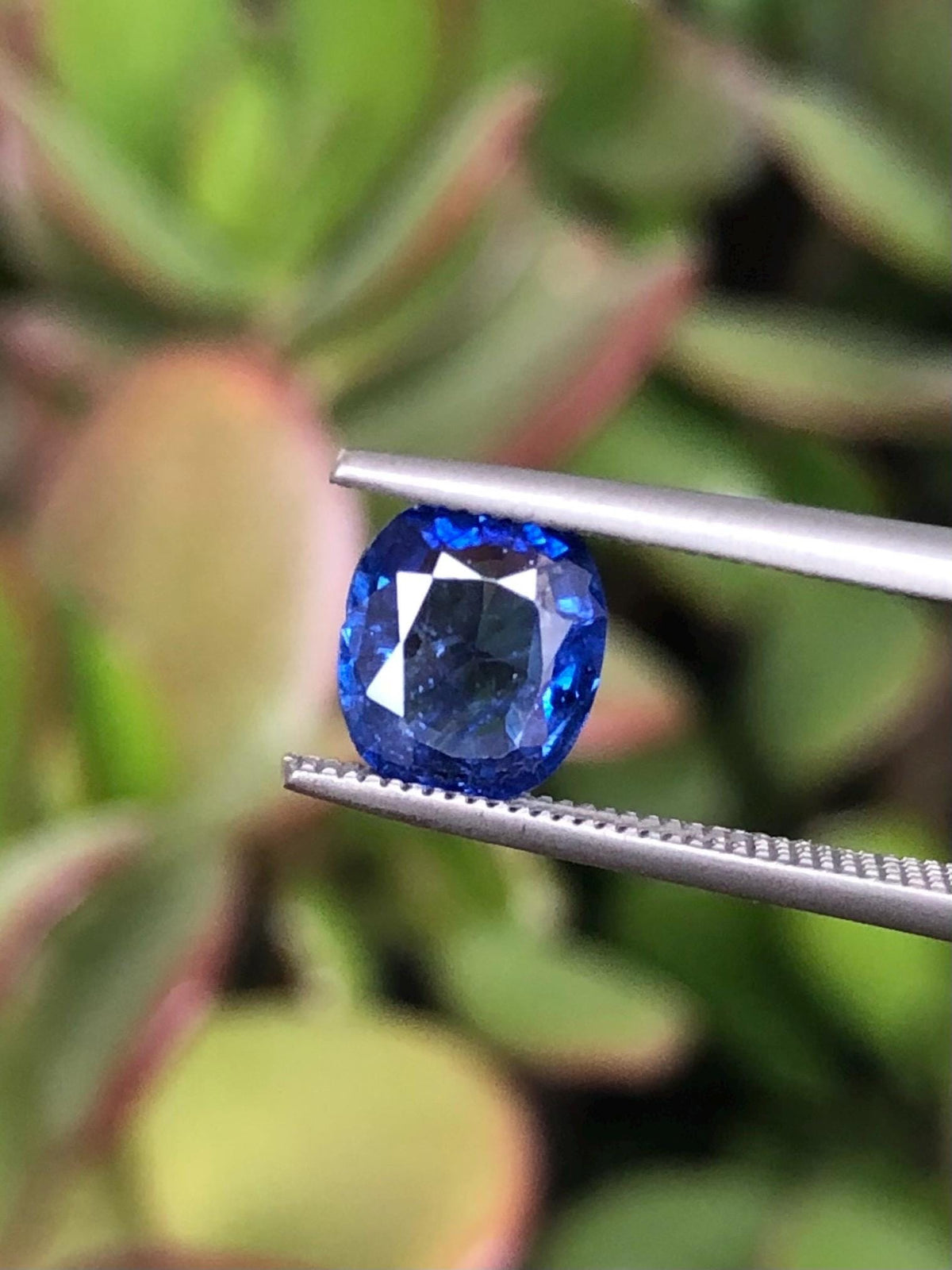 Natural Blue Sapphire 1.26 ct, Sri Lanka
