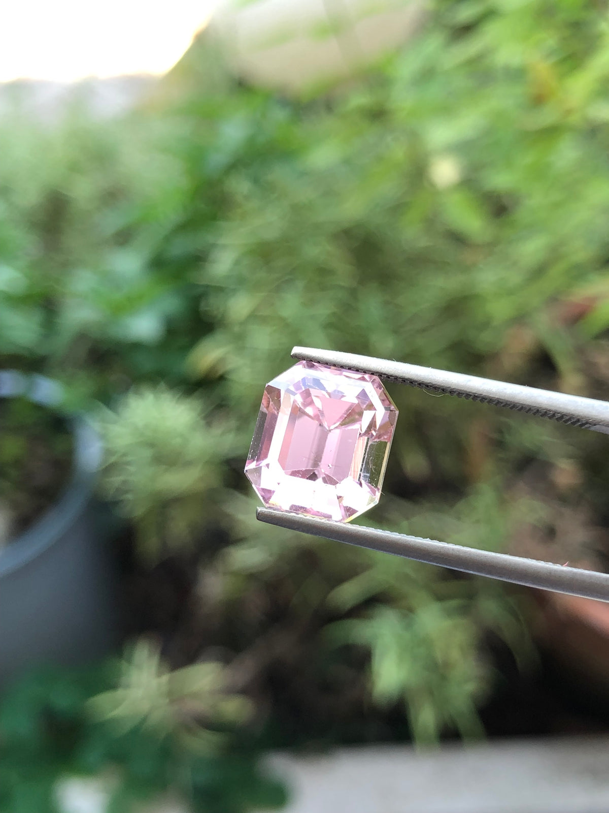 Kunzite Afghanistan 7.51 ct