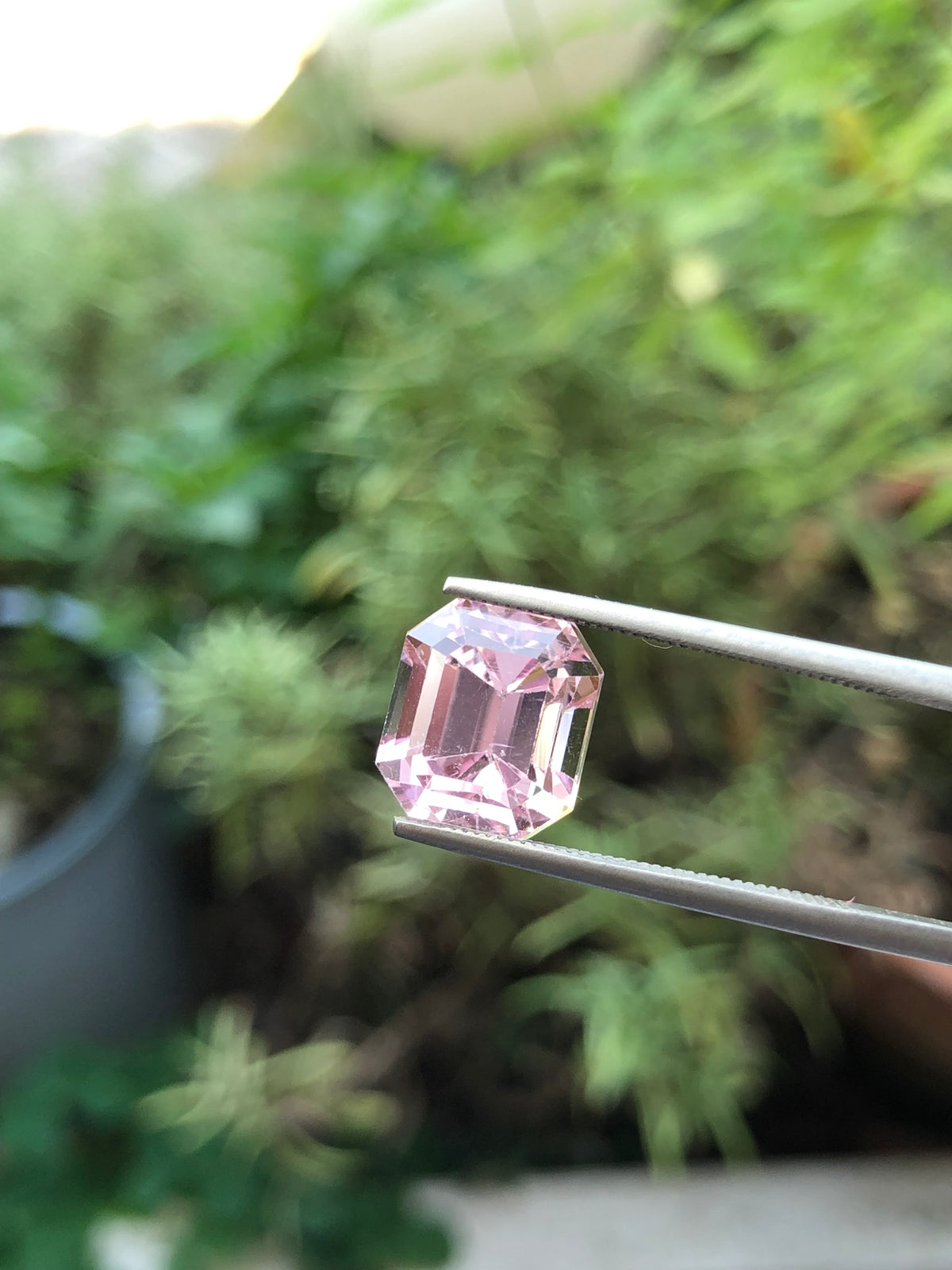 Kunzite Afghanistan 7.51 ct