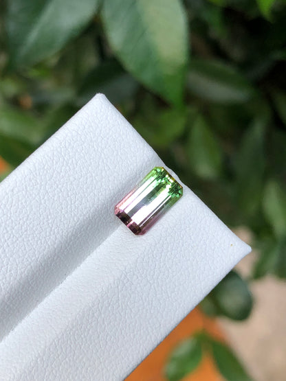 Tormalina Watermelon 2.10 Ct Afghanistan