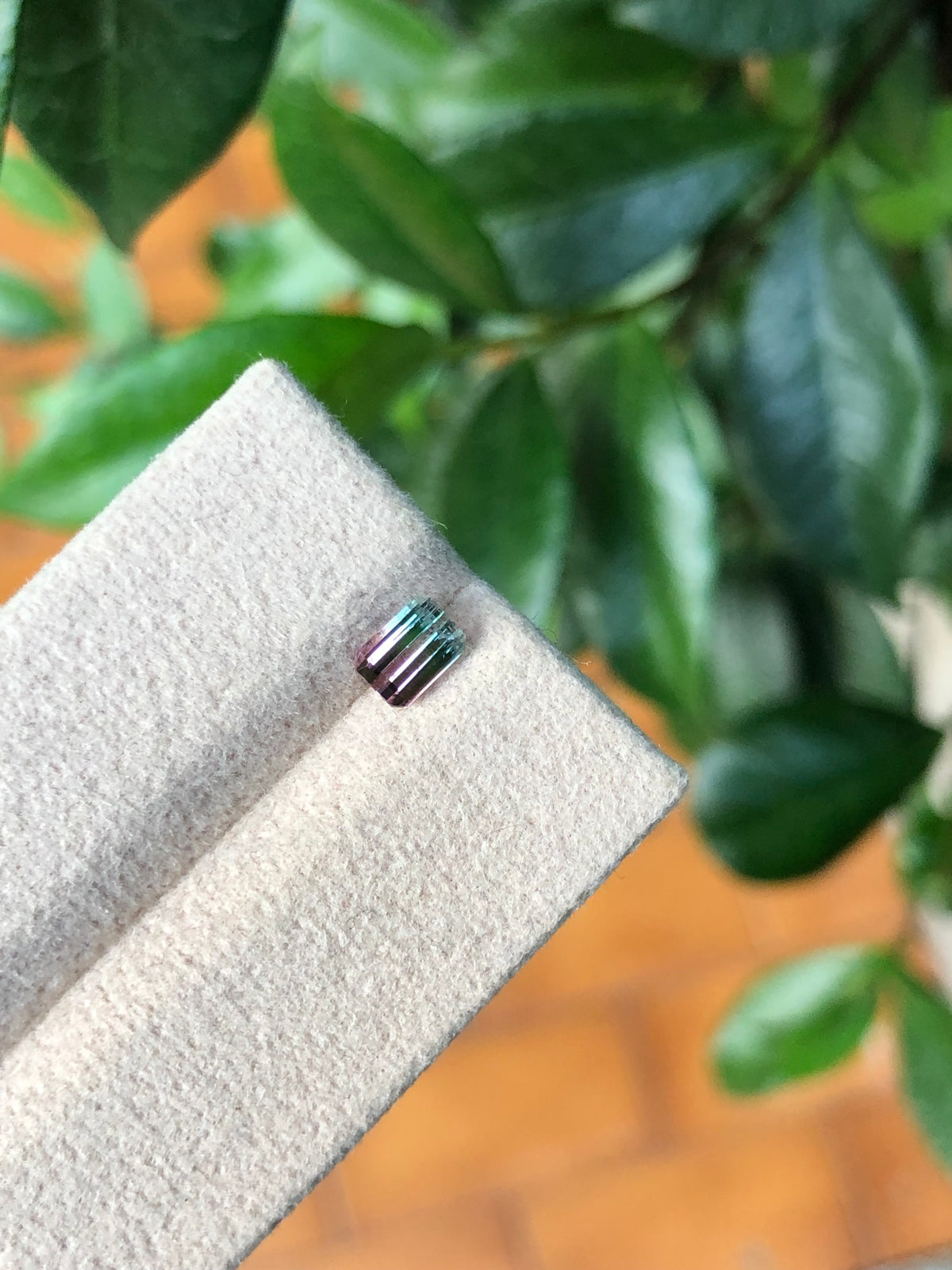 Tormalina Bicolore Afghanistan 0.68 Ct.