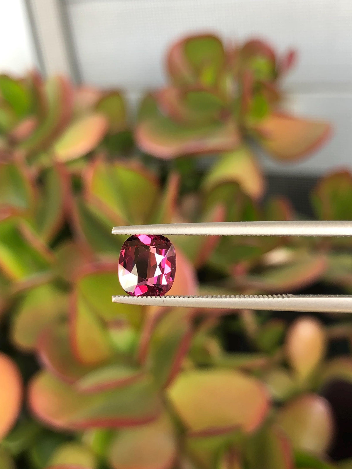 Natural Red Garnet 1.50 ct, Tanzania