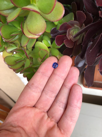 Natural Blue Sapphire 1.26 ct, Sri Lanka