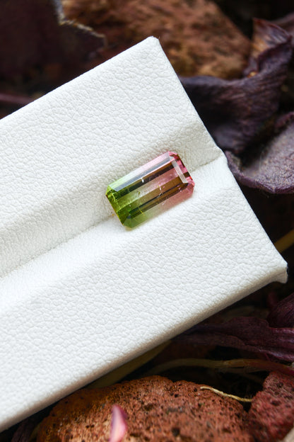 Tormalina Watermelon 2.10 Ct Afghanistan