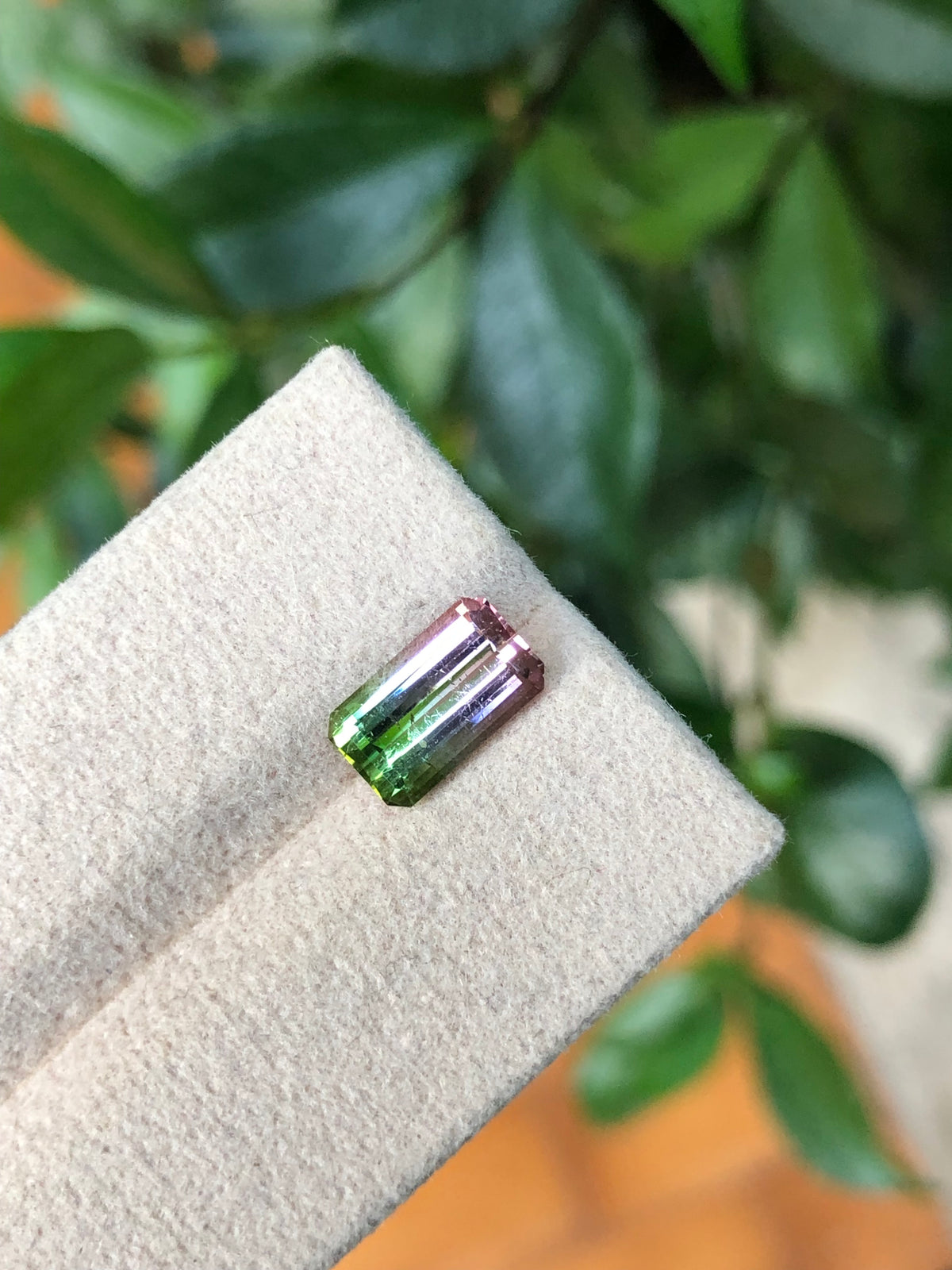 Tormalina Watermelon 2.10 Ct Afghanistan