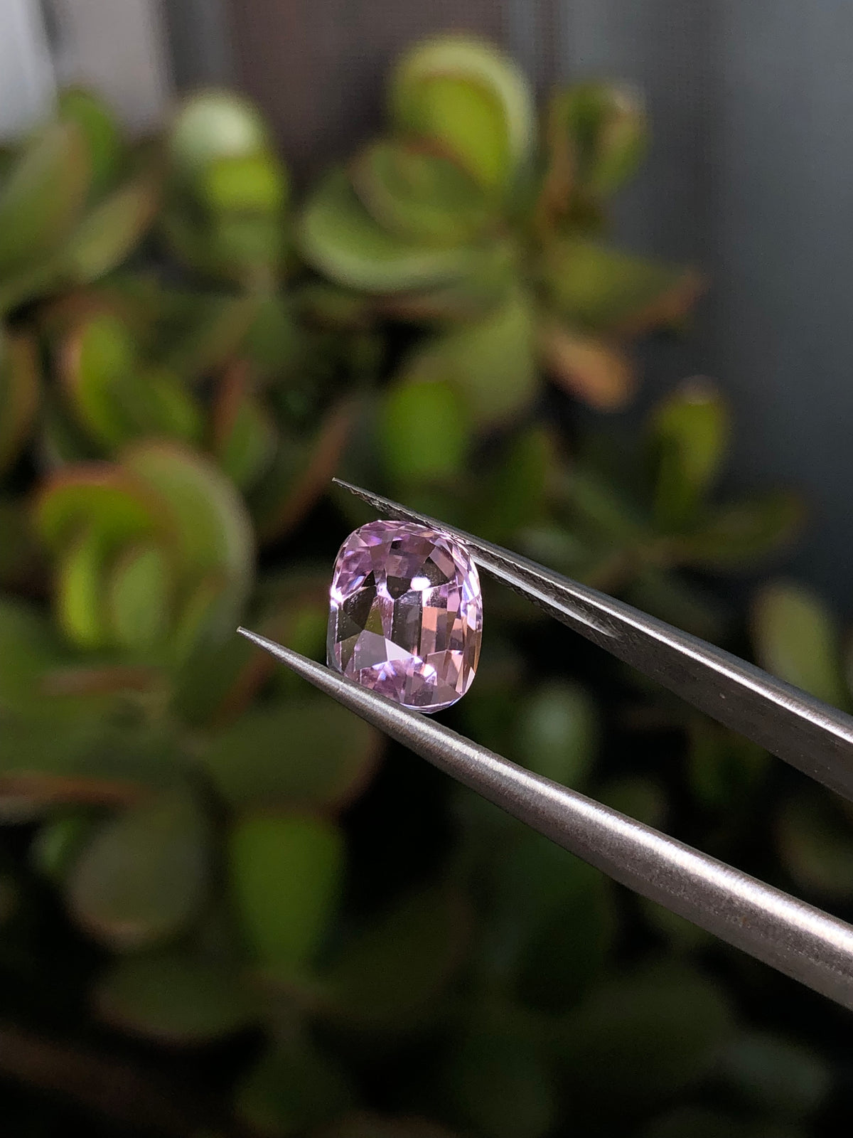Kunzite Afghanistan 4.30 Ct