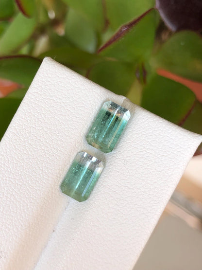 Natural Bicolor Aqua Blue Tourmaline Pair 3.57 ct