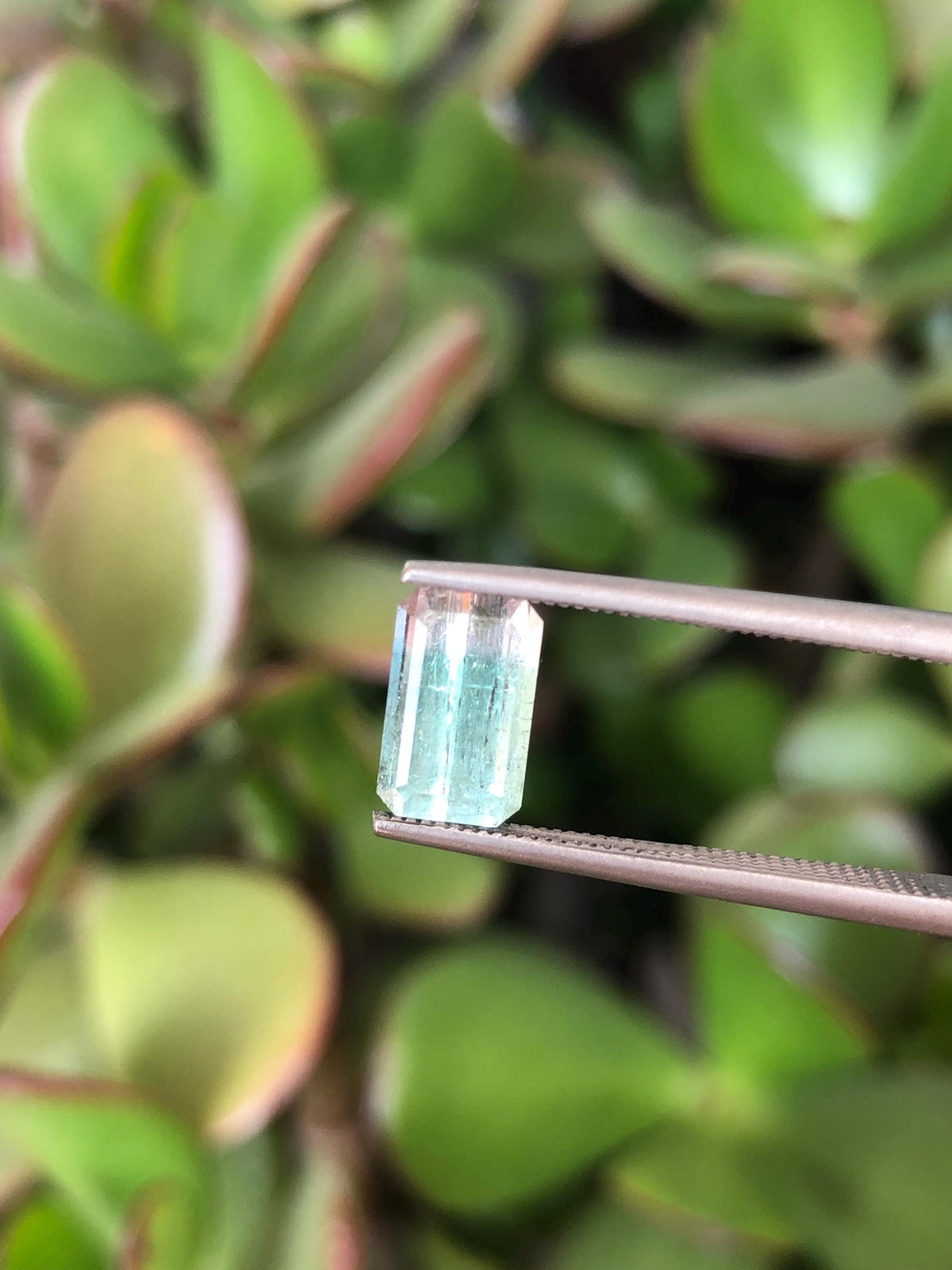 Natural Bicolor Aqua Blue Tourmaline Pair 3.57 ct