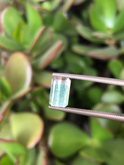 Natural Bicolor Aqua Blue Tourmaline Pair 3.57 ct