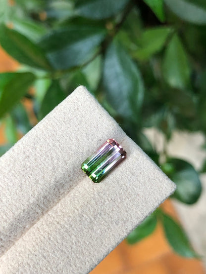 Tormalina Watermelon 2.10 Ct Afghanistan