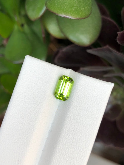 Peridoto Pakistan 1.90 Ct