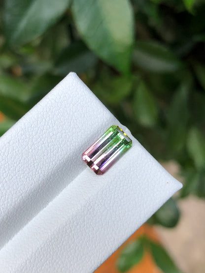 Tormalina Watermelon 2.10 Ct Afghanistan
