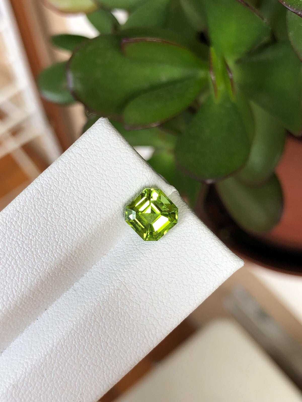 Natural Peridot 2.34 ct | Green, Pakistan