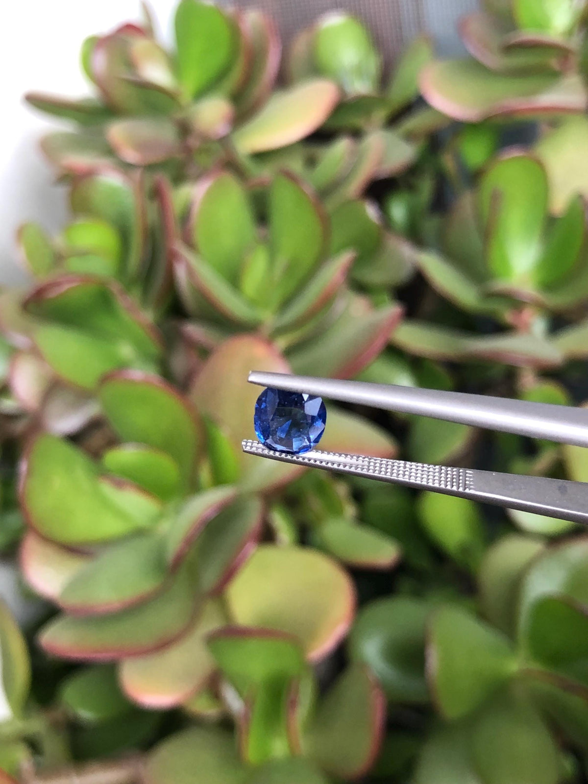 Natural Blue Sapphire 1.26 ct, Sri Lanka
