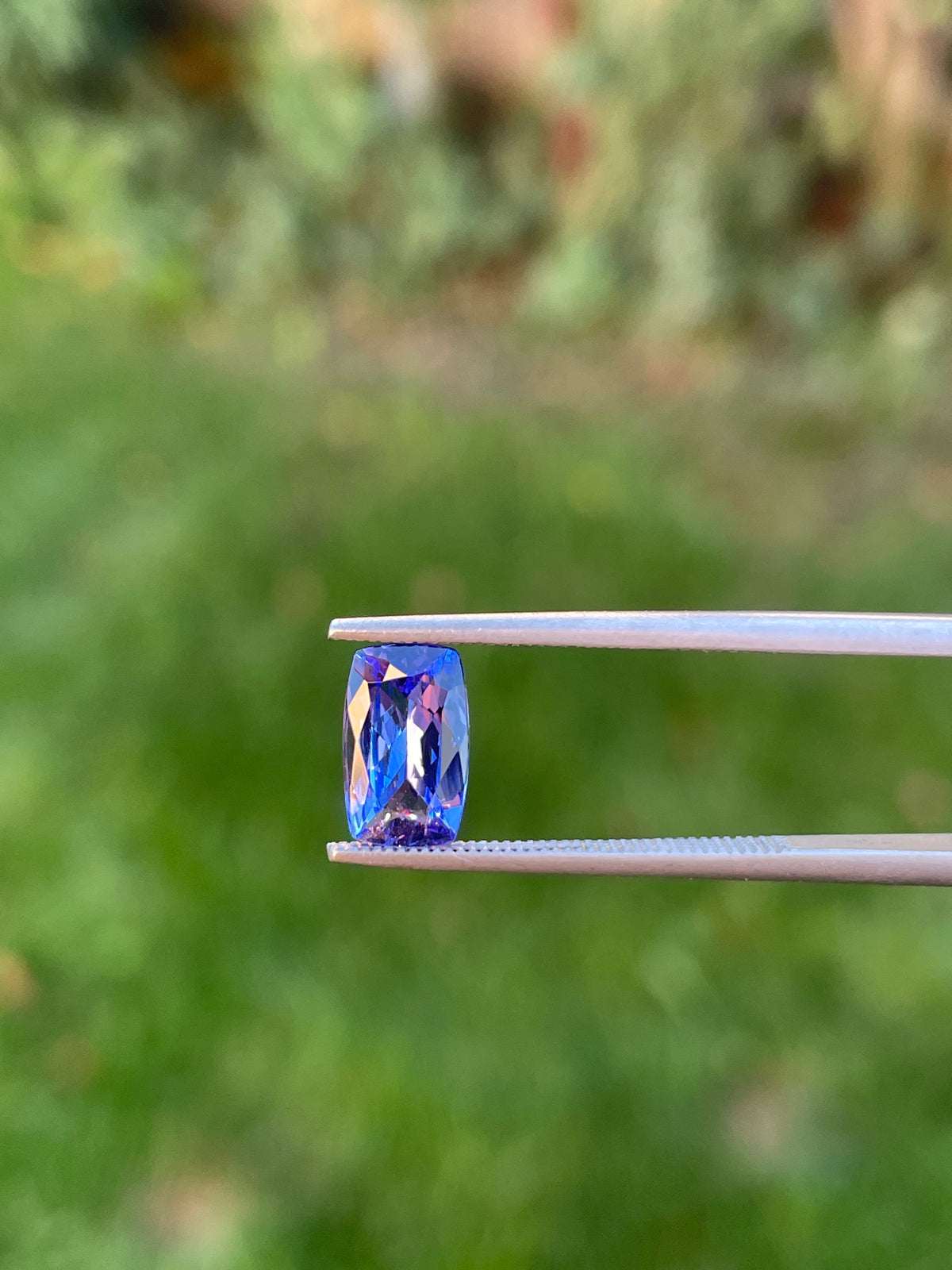Tanzanite 1.44 Ct