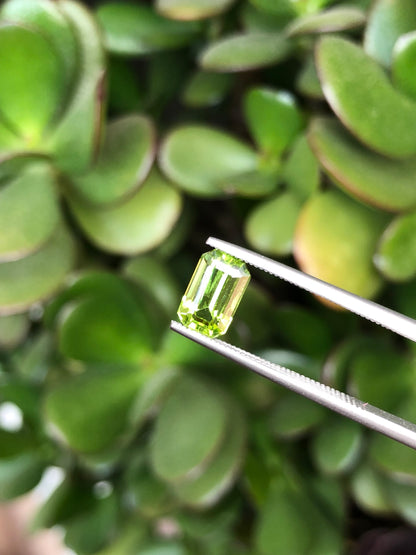 Peridoto Pakistan 1.90 Ct