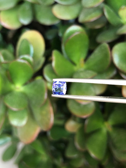 Tanzanite 0.52 Ct