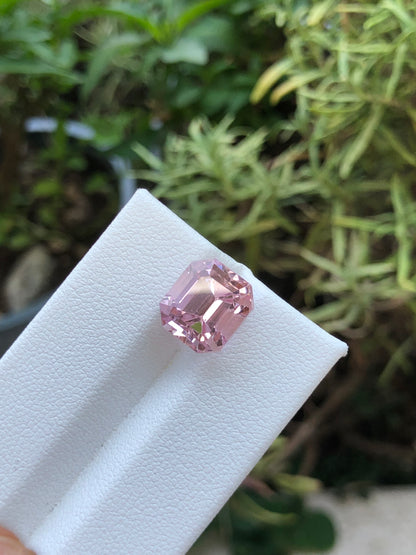 Kunzite Afghanistan 7.51 ct