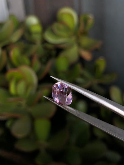 Kunzite Afghanistan 4.30 Ct