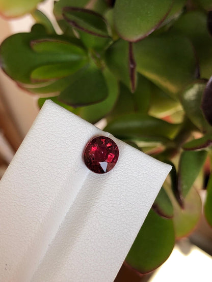 Natural Red Rubellite Tourmaline 2.07 ct, Afghanistan