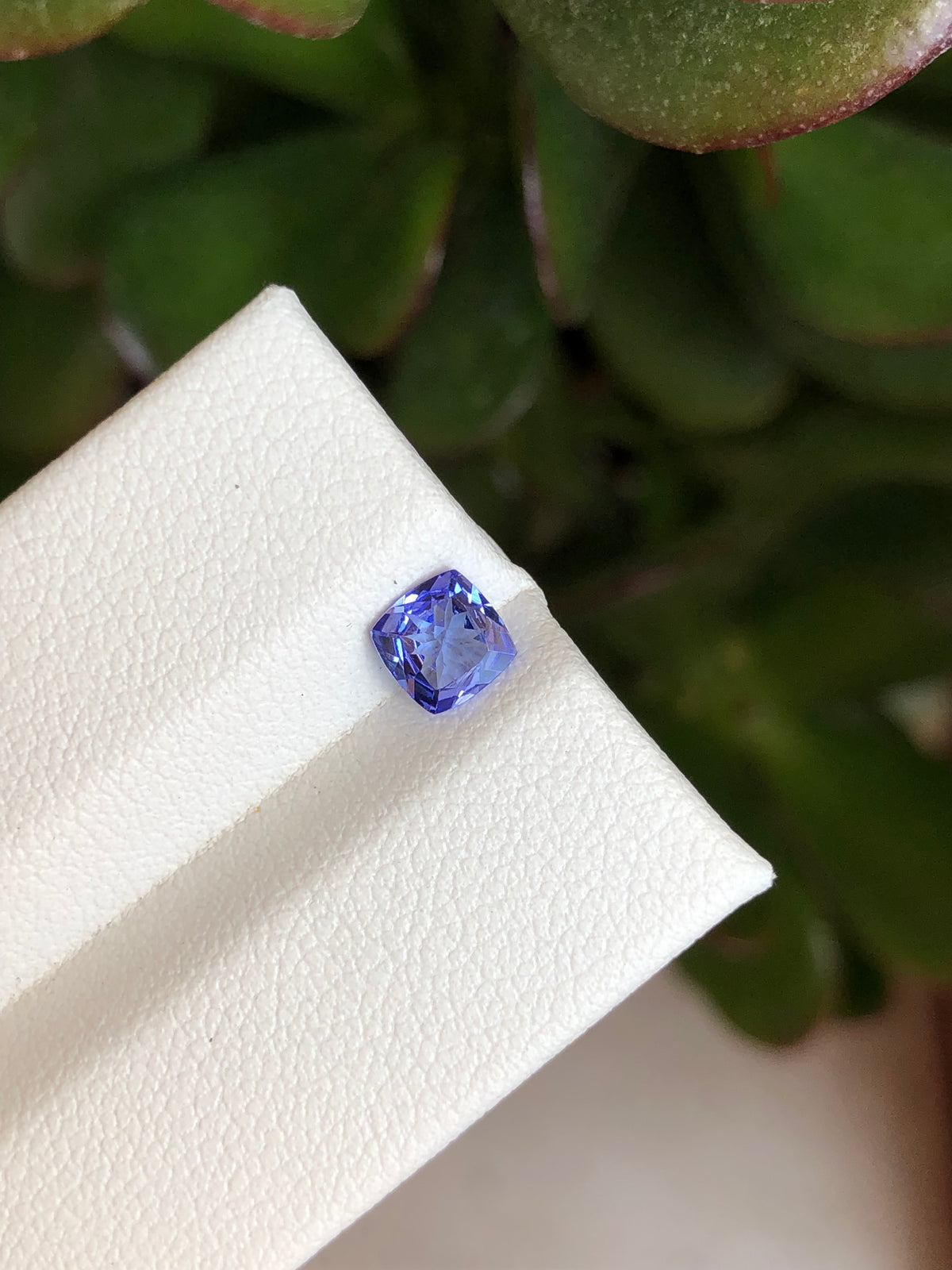 Tanzanite 0.52 Ct