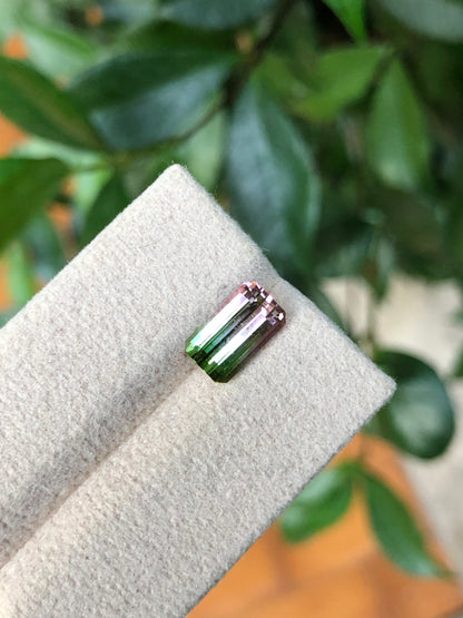 Tormalina Watermelon 2.10 Ct Afghanistan