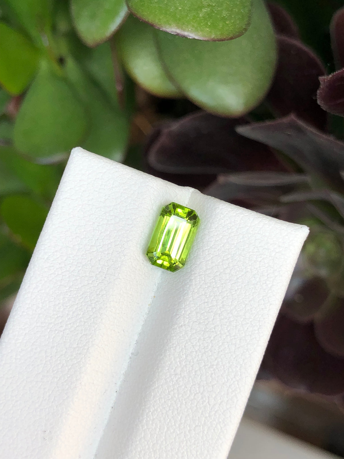 Peridoto Pakistan 1.90 Ct
