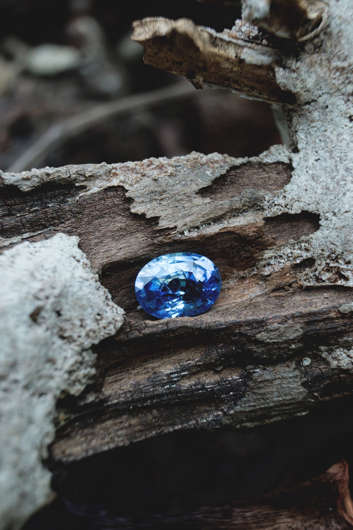 Zaffiro Ceylon 100% naturale 2.01 Ct