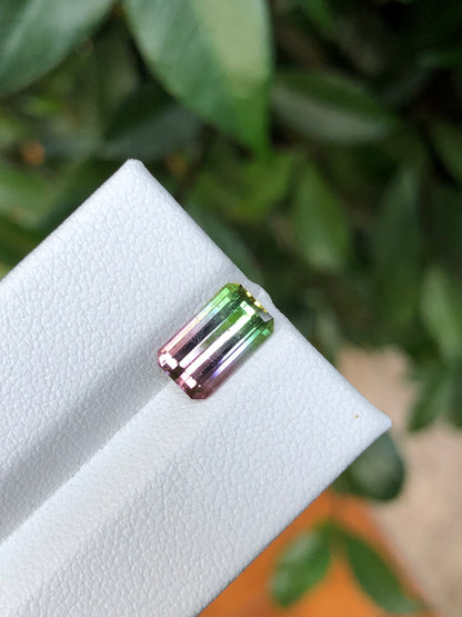 Tormalina Watermelon 2.10 Ct Afghanistan