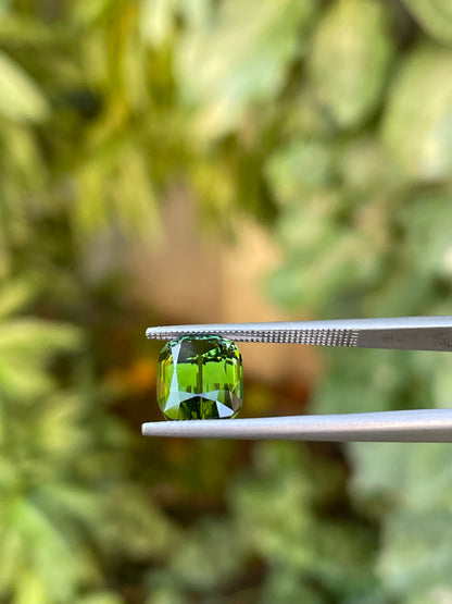 Tormalina 4.39 Ct