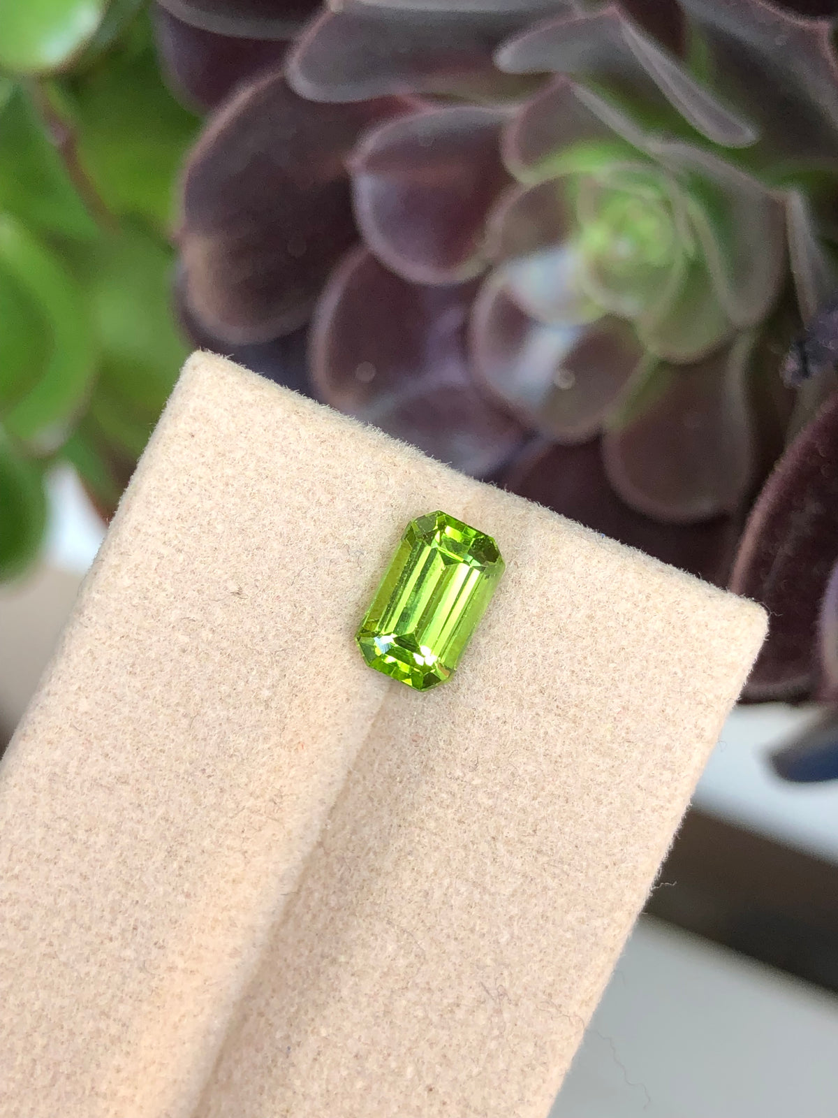 Peridoto Pakistan 1.90 Ct