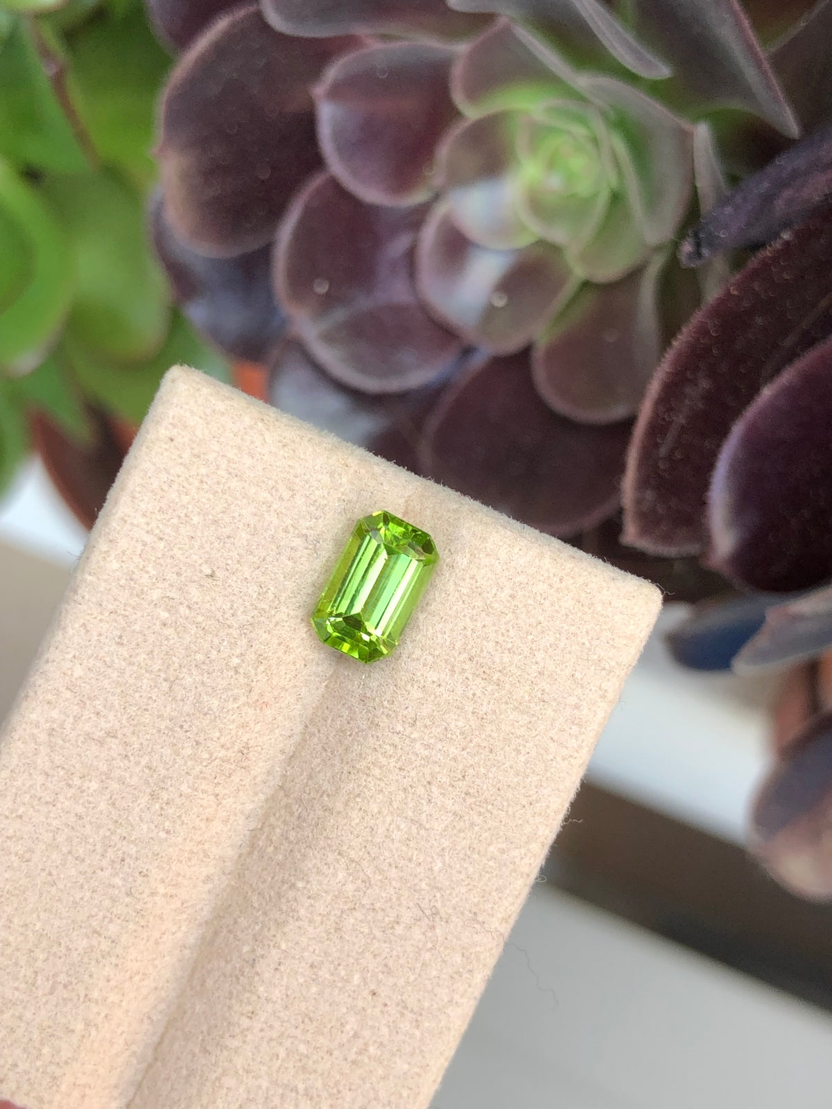 Peridoto Pakistan 1.90 Ct